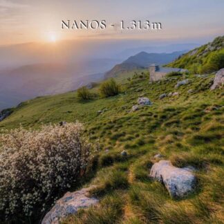 RAZGLEDNICA POBOČJE NANOSA