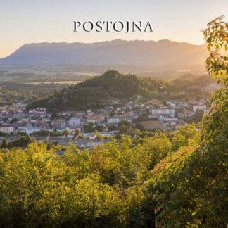 RAZGLEDNICA POSTOJNA Z NANOSOM