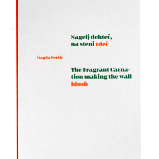 NAGELJ DEHTEČ NA STENI RDEČ. SOBOSLIKARSTVO IN ČRKOSLIKARSTVO NA POSTOJNSKEM IN BISTRIŠKEM