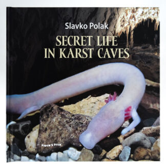 SECRET LIFE IN KARST CAVES