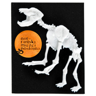 Magnet OKOSTJE JAMSKEGA MEDVEDA