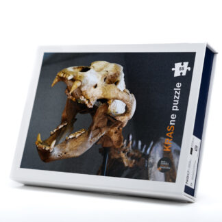 KRASne puzzle: OKOSTJE JAMSKEGA MEDVEDA