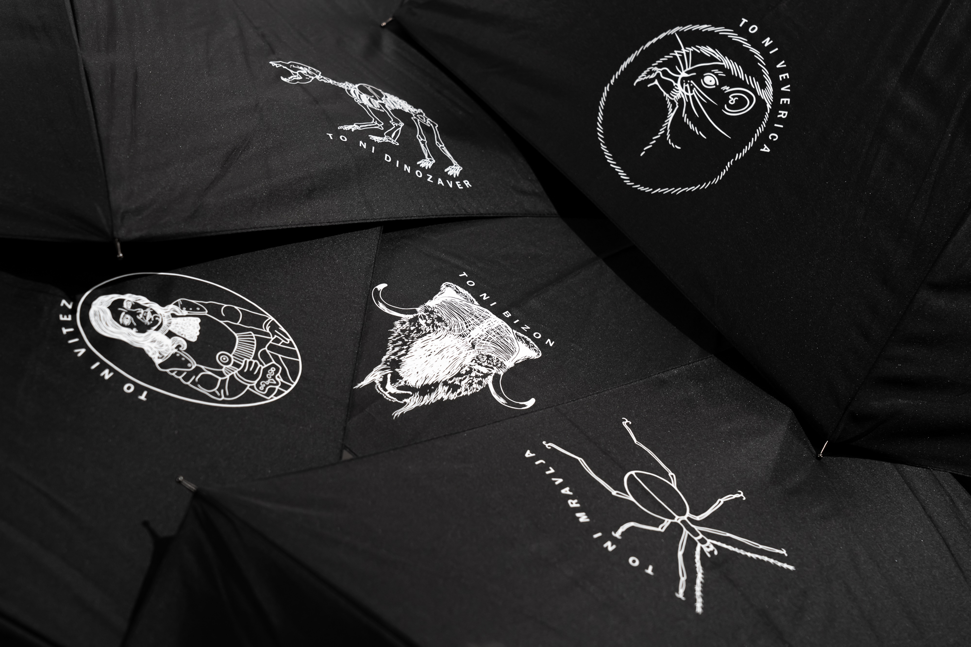 Dežnik TO NI VEVERICA - slika 2