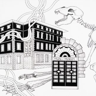 Razglednica NOTRANJSKI MUZEJ POSTOJNA (Rebeka Petrovčič)